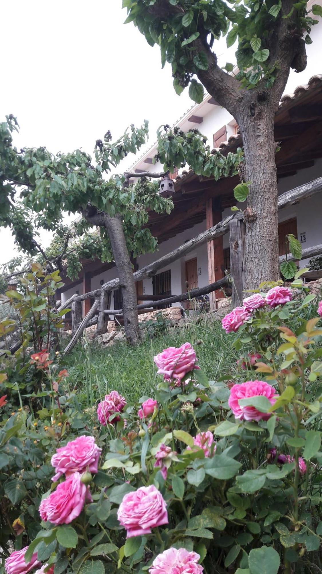 Bed and Breakfast Chorros del Río Mundo Riópar Exterior foto